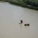 16-Sculpture of a Man in  Guadalquivir River, Cordoba, Spain
