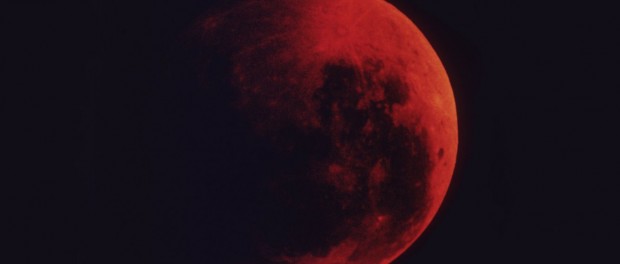BloodMoon