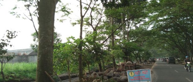 kawasan kedungkandang jadi kota elite kawasan kedungkandang jadi kota elite