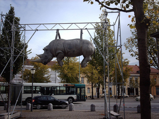10-Hanging Rhino, Potsdam, Germany