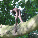 17-Statue of a Man Sawing a Branch, Amsterdam, Netherlands