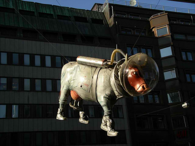 28-Space Cow, Stockholm, Sweden