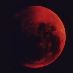 BloodMoon