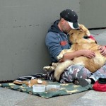 Anjing tidak akan pernah memandang kamu kaya ataupun miskin