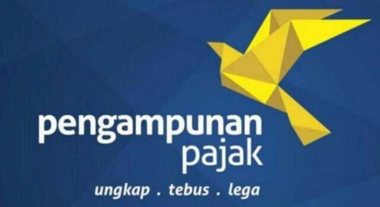 Cara Melaporkan Tax Amnesty 2016