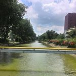 Ciliwung Lama Ruas Golden Truly & Pintu Air Jembatan Merah
