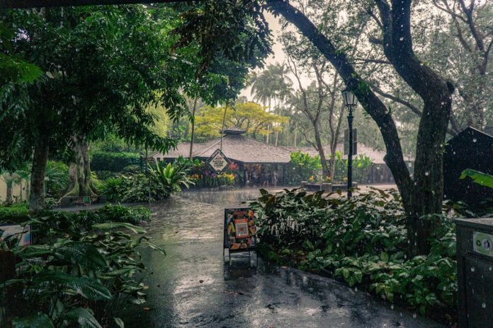 Rumah dan taman hijau di lingkungan tropis