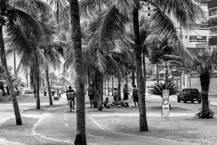 Pepohonan menaungi jalur pejalan kaki di kawasan kota